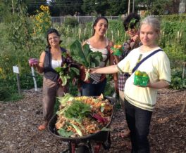 LITERALLY PLANTING SEEDS