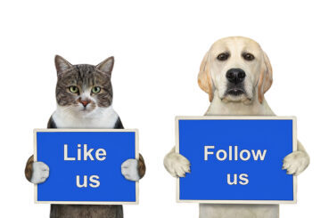 a-dog-labrador-and-colored-cat-are-holding-blue-signs-t-says-lik